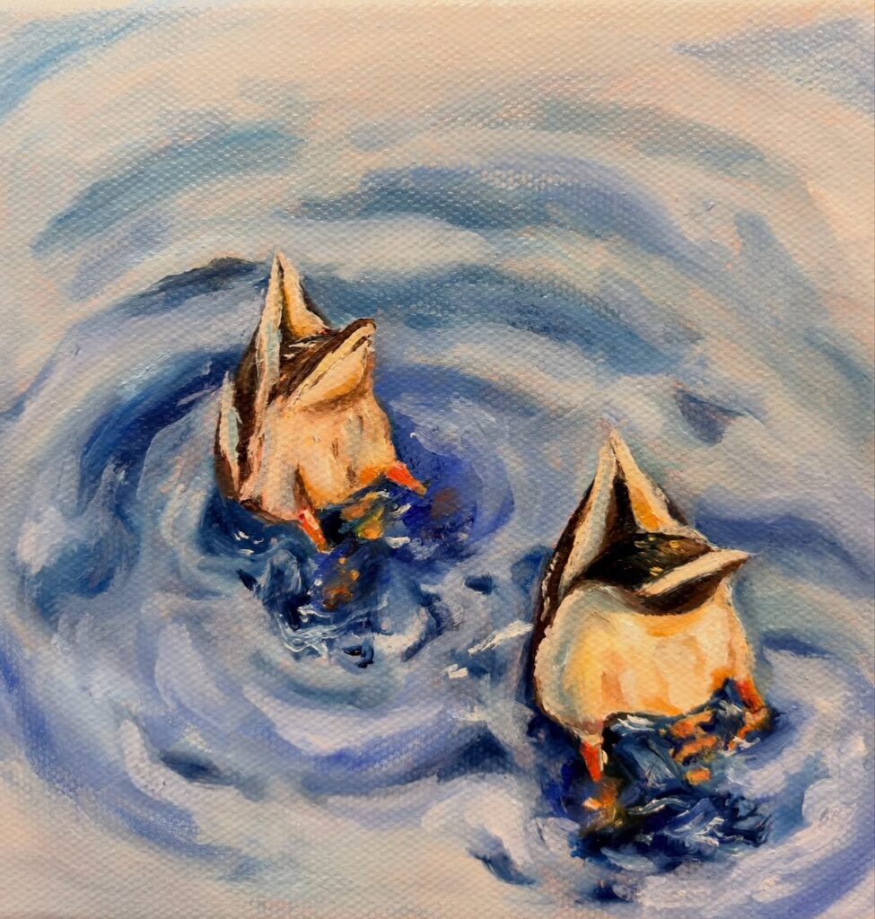 cute Oil Painting, ducks in water, duck butts, original paintings, 6 x 6"