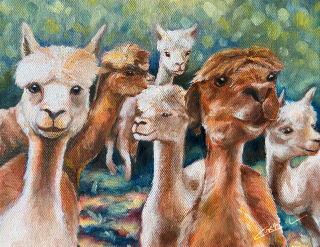 Quirky Alpacas Print