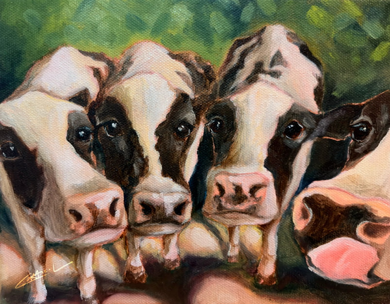 Curious Cows Print