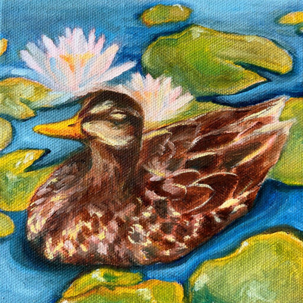 zSOLD: No Worries Duck, 2026