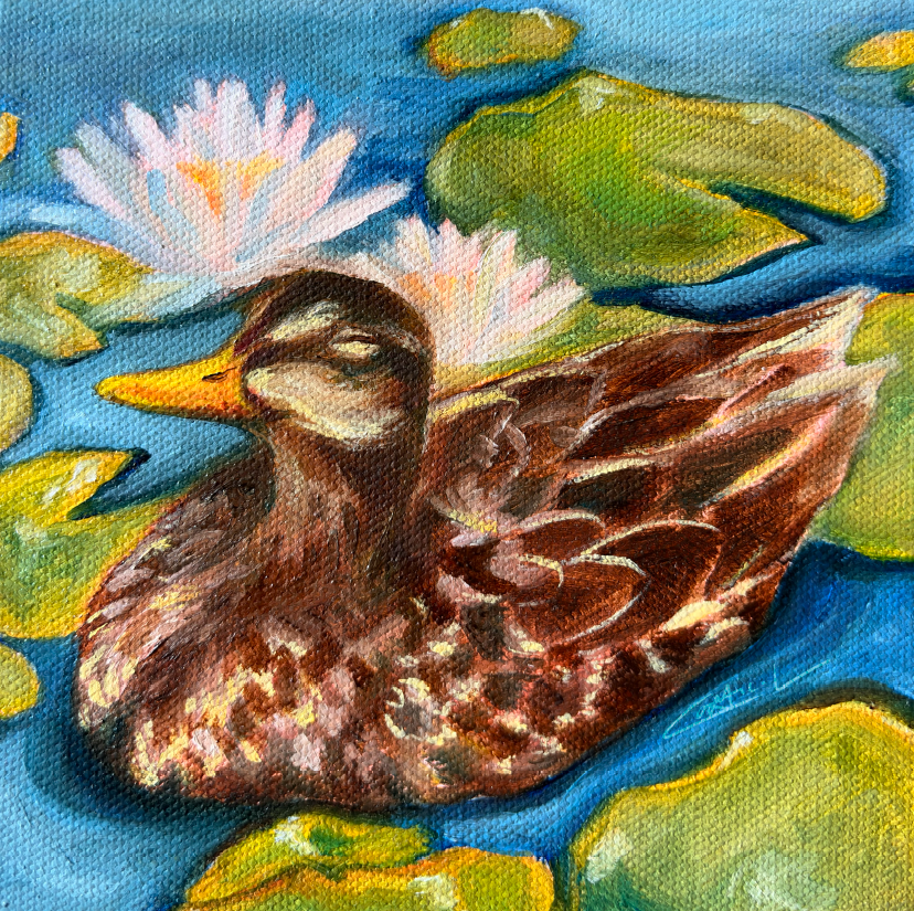 No Worries Duck Print