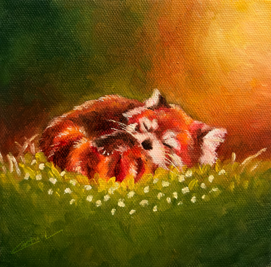 Sleepy Red Panda Print