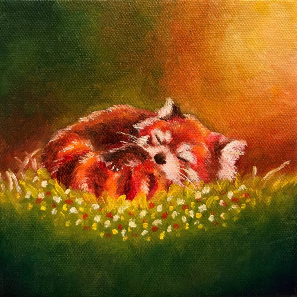 red panda, sleeping, glade, oil painting