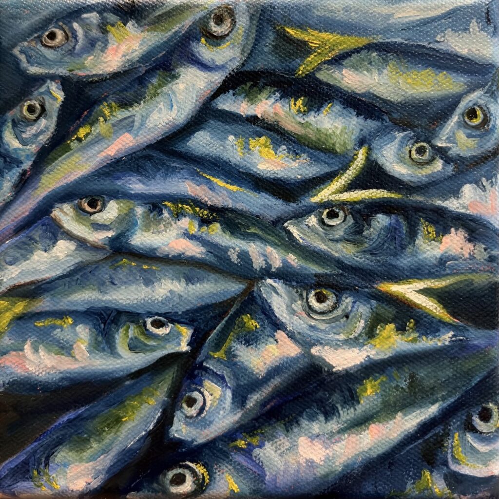 zSOLD: Fishes Pt 1, 2026